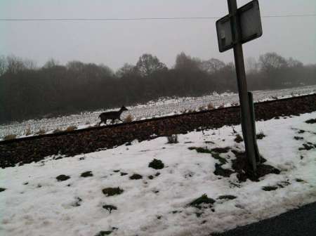 cherche femme partenaire