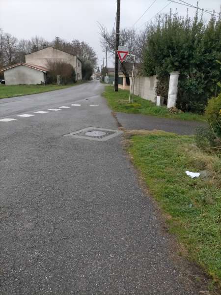 homme l�che tr�s bien la chatte