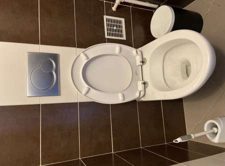 wc, humain, pour femme