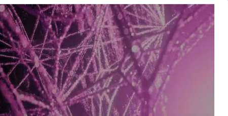 couguar belle et �l�gante cherche rdv